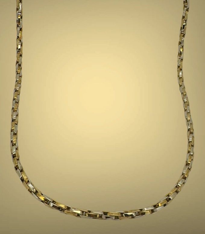 bicolor collier 000027967.jpg